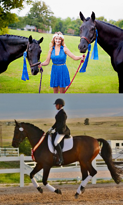 TDF Awards Grants to Adult Amateur and Young Rider for Study at Spanish Riding School's Heldenberg Training Center