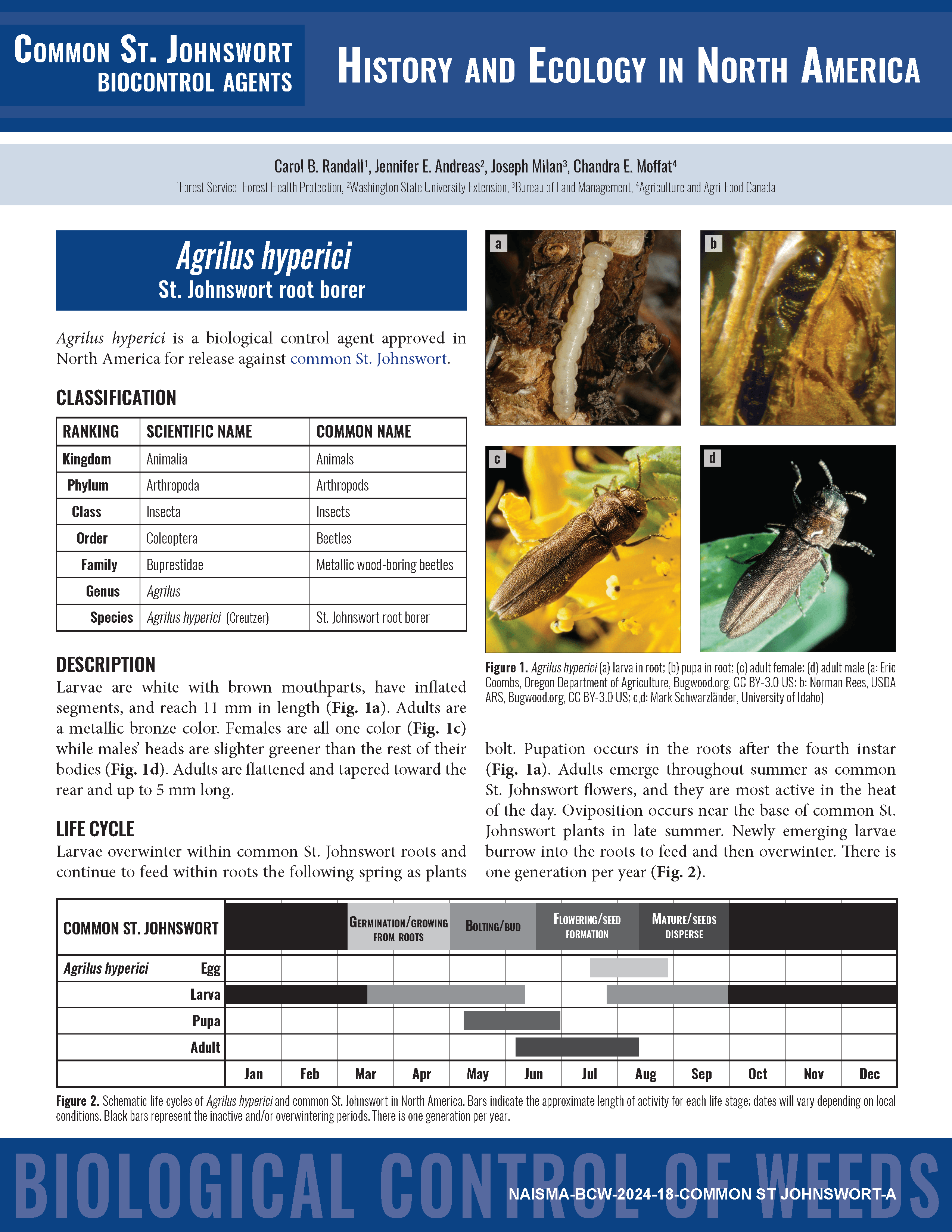 Weed Biocontrol Fact Sheets