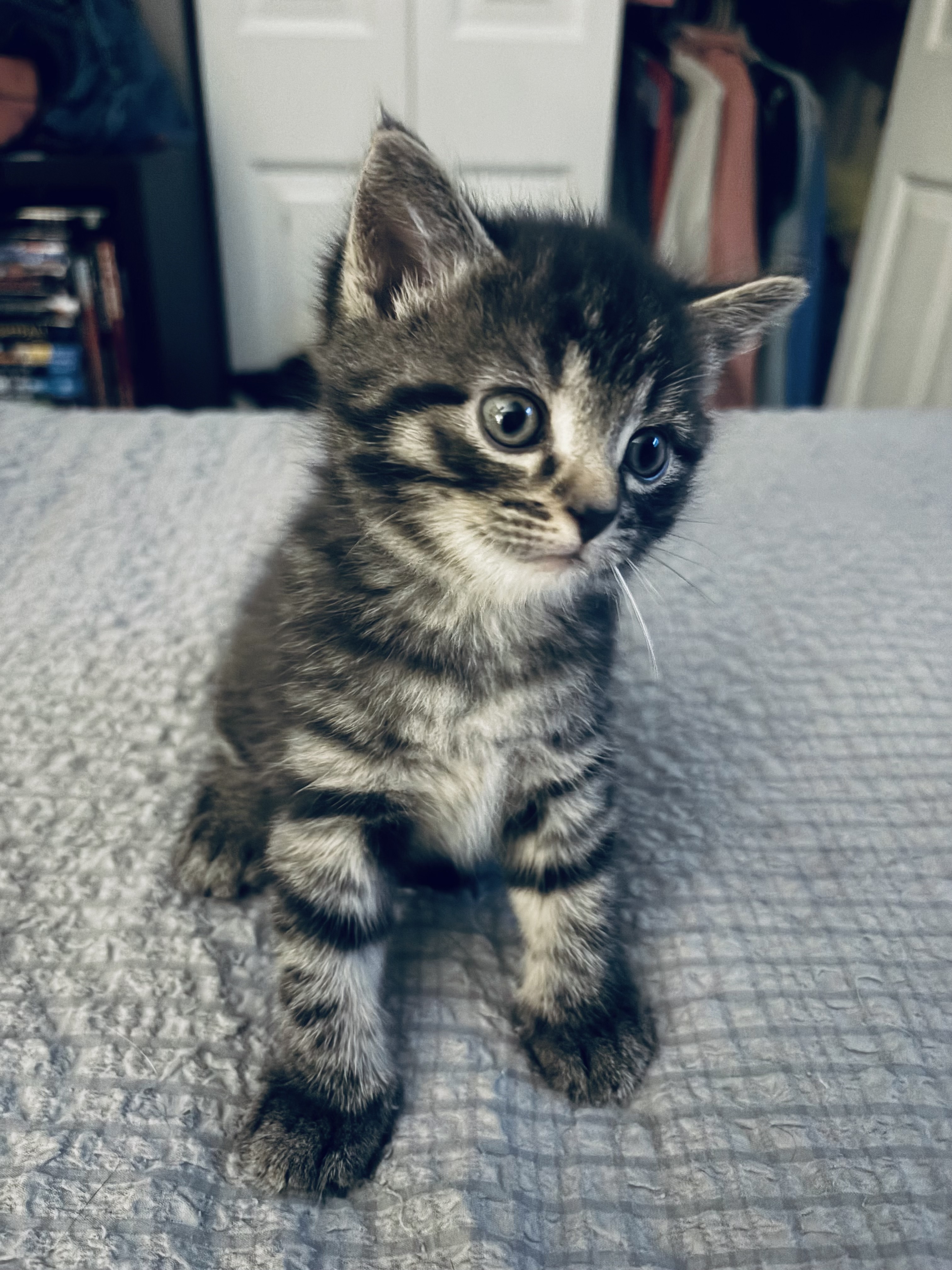 Finley