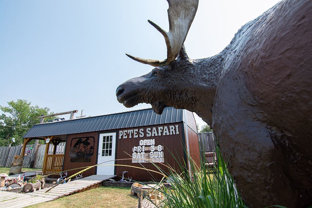 Pete's Safari