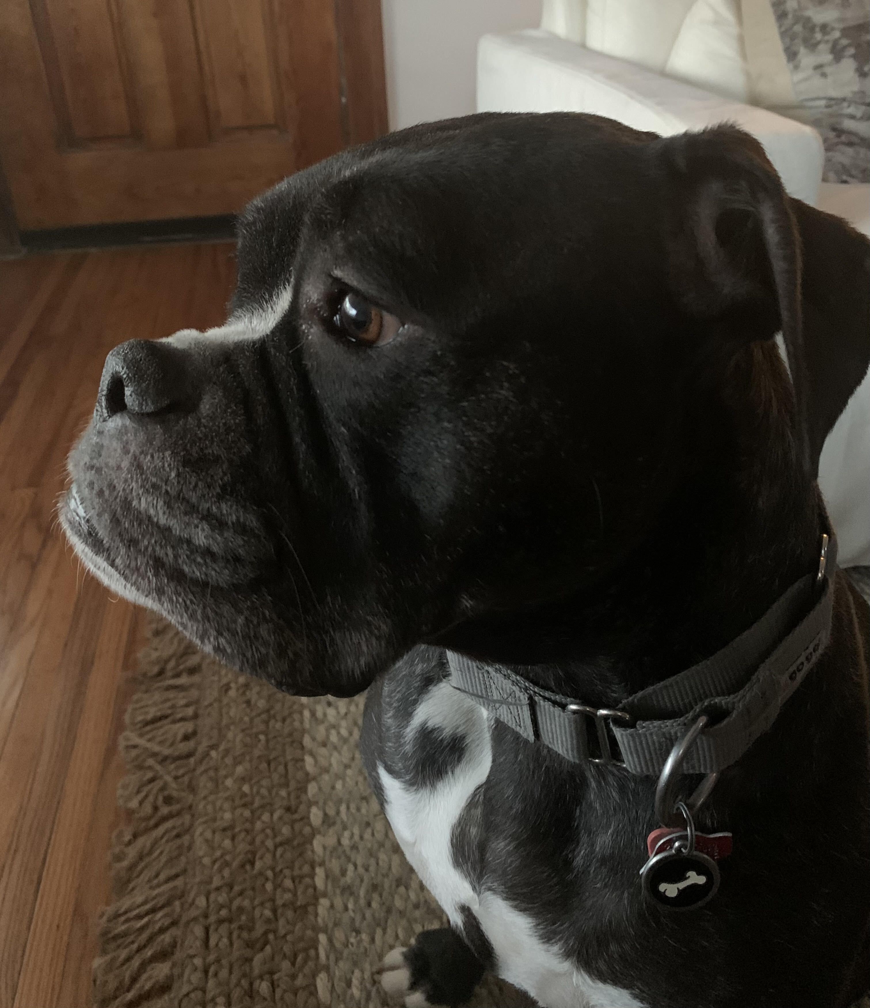 Winston