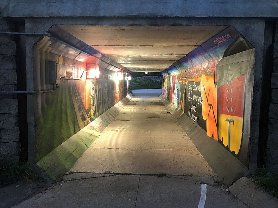 LCF Open Door Grants: Shedding Some Light on South Salt Creek