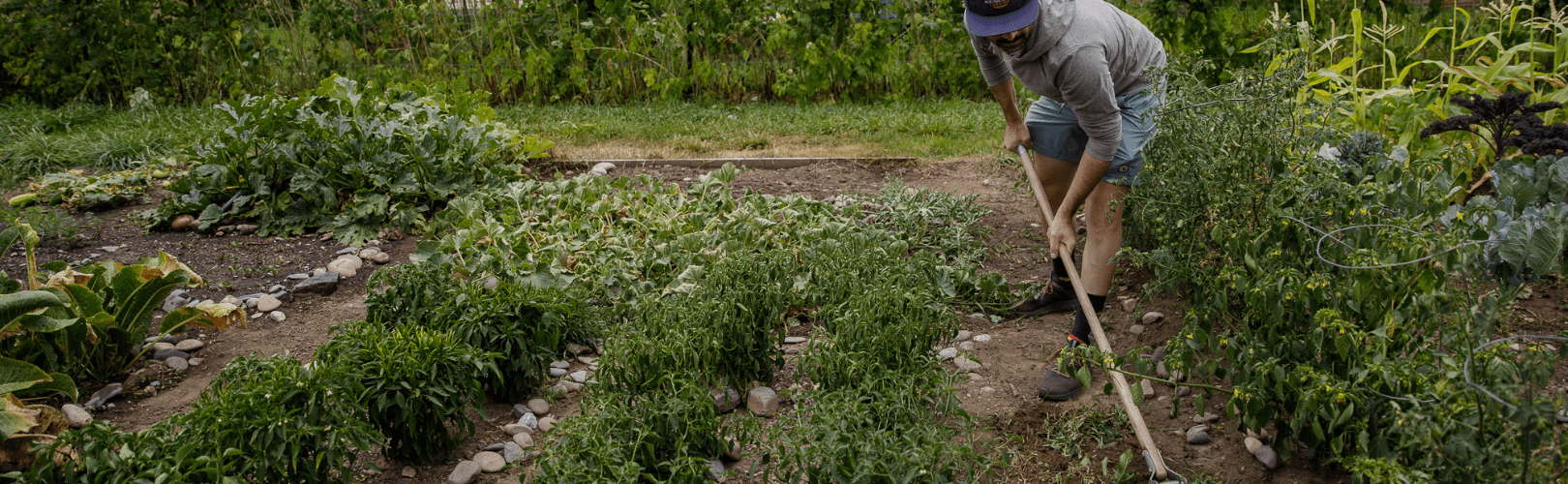 Gardening In Montana