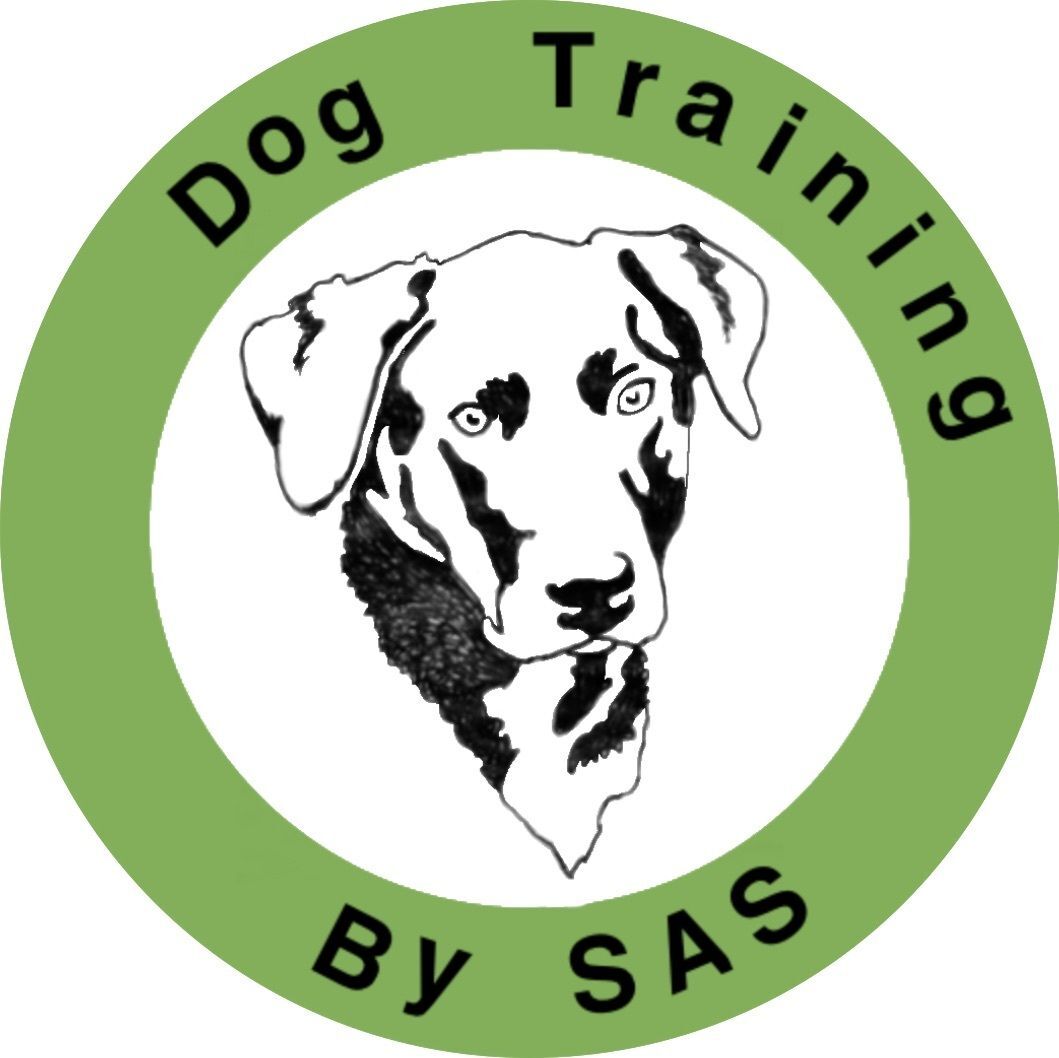 Dog Training by SAS