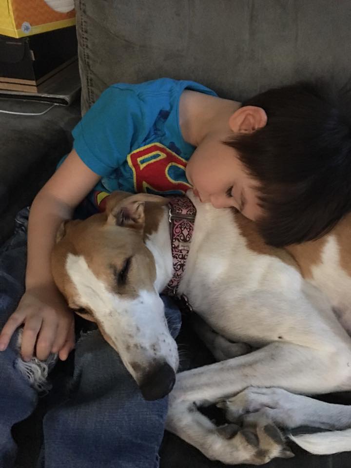 Greyhounds, Kids & Leash Walking...Oh My!