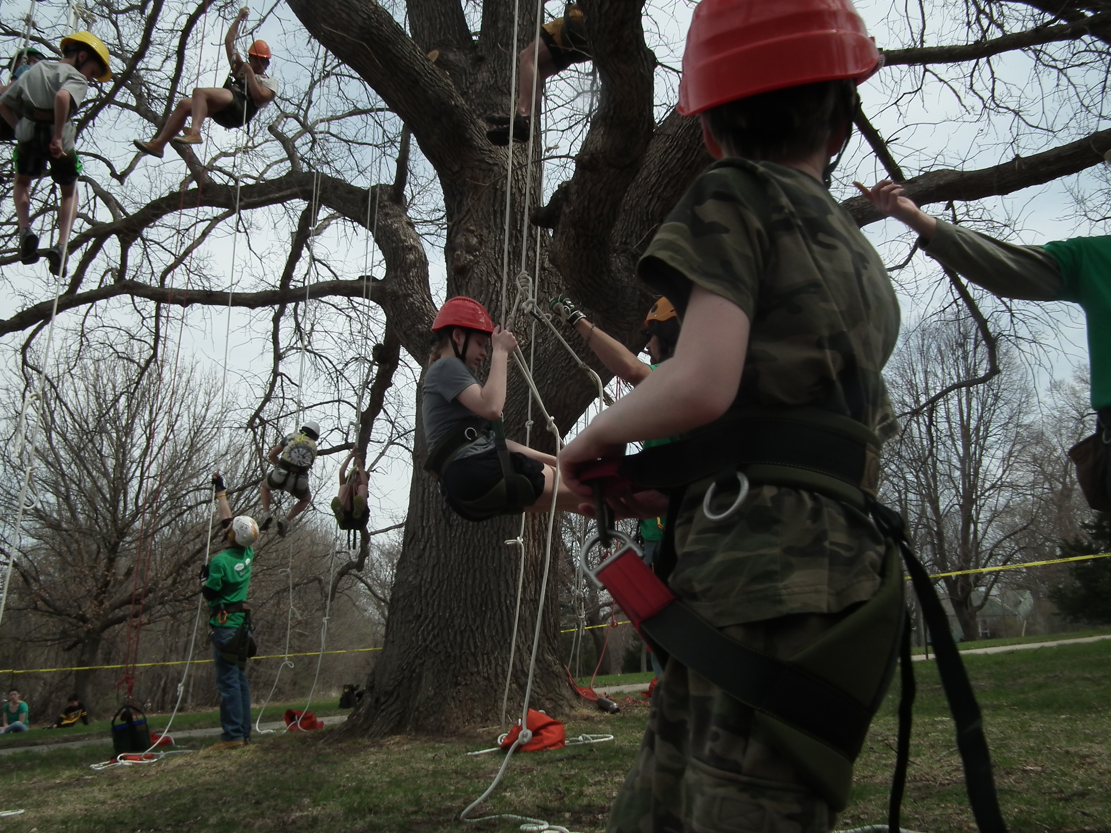 Climb a Tree at Earth Day Omaha