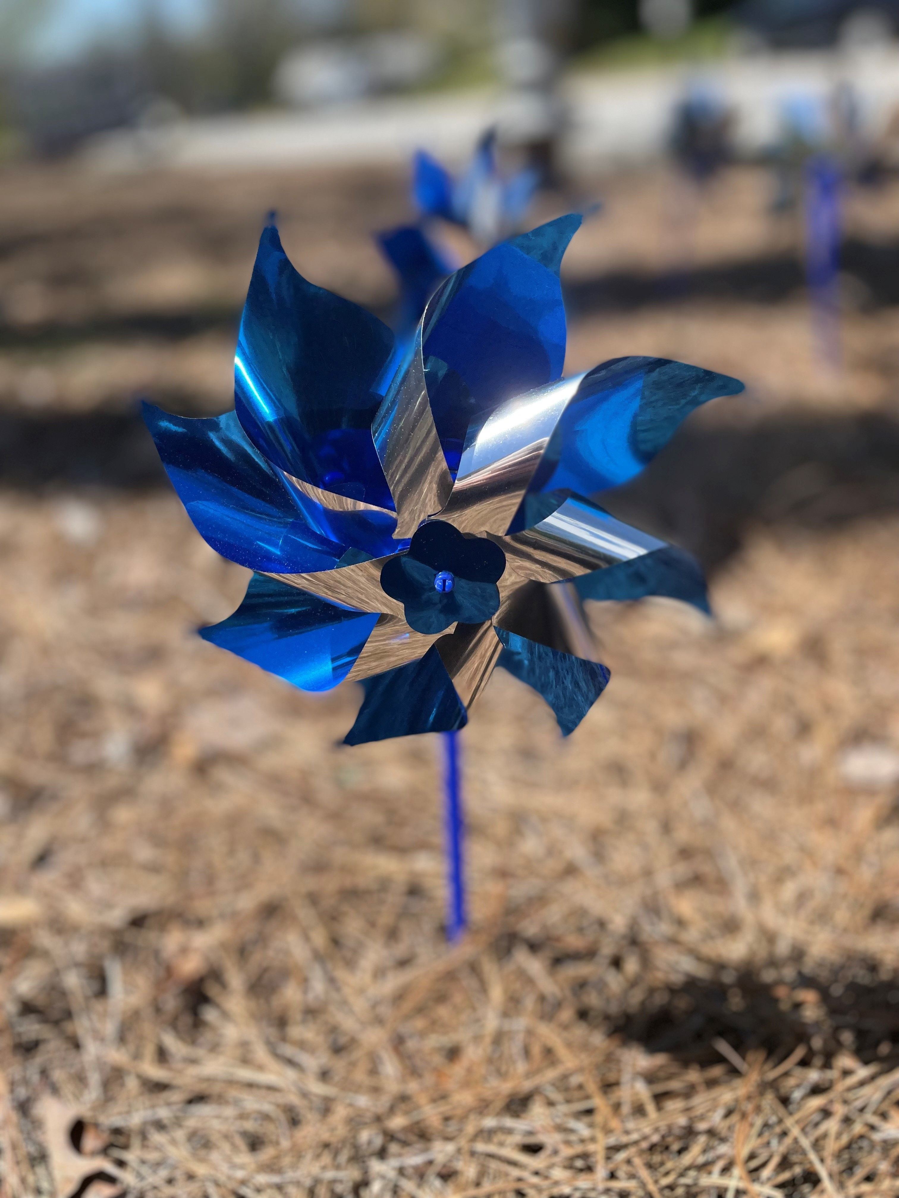 Blue pinwheel for Child Abuse Prevention Month