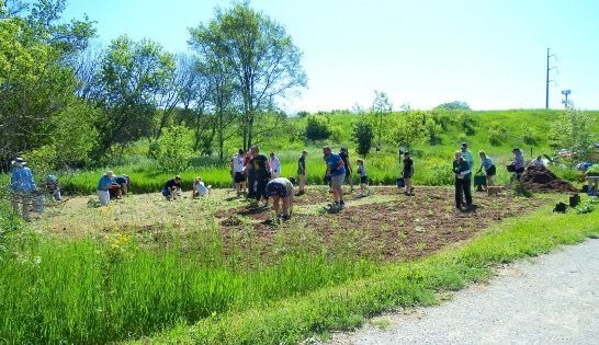 A group of people planting native species at Cottonwood Creek Preserve
