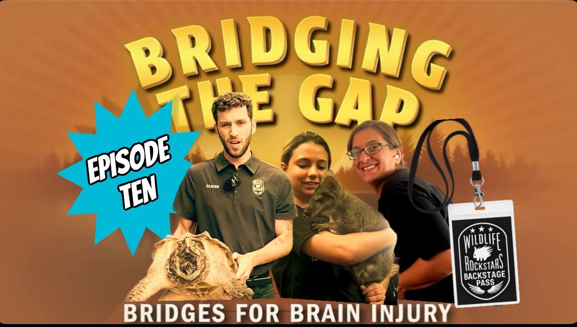 Sara, James & Cathy: Making Each Day Better for People & Animals (Episode 10 of Bridging the Gap)