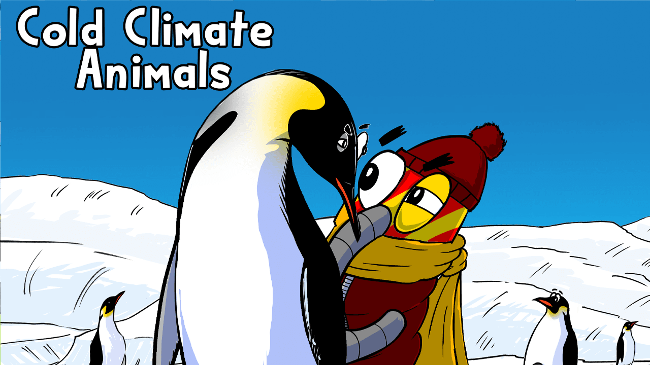 November 3rd, Cold Climate Animals