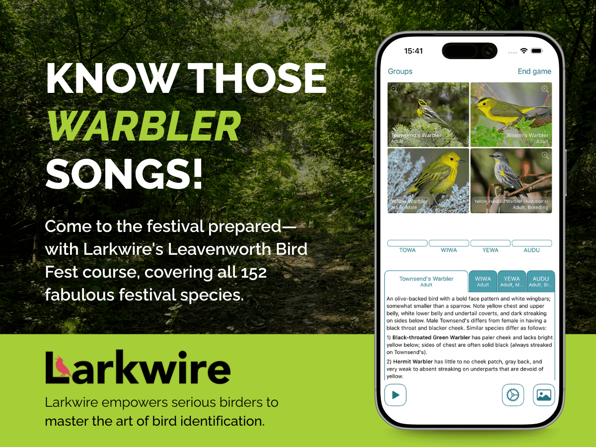 Special NCW Larkwire Course!