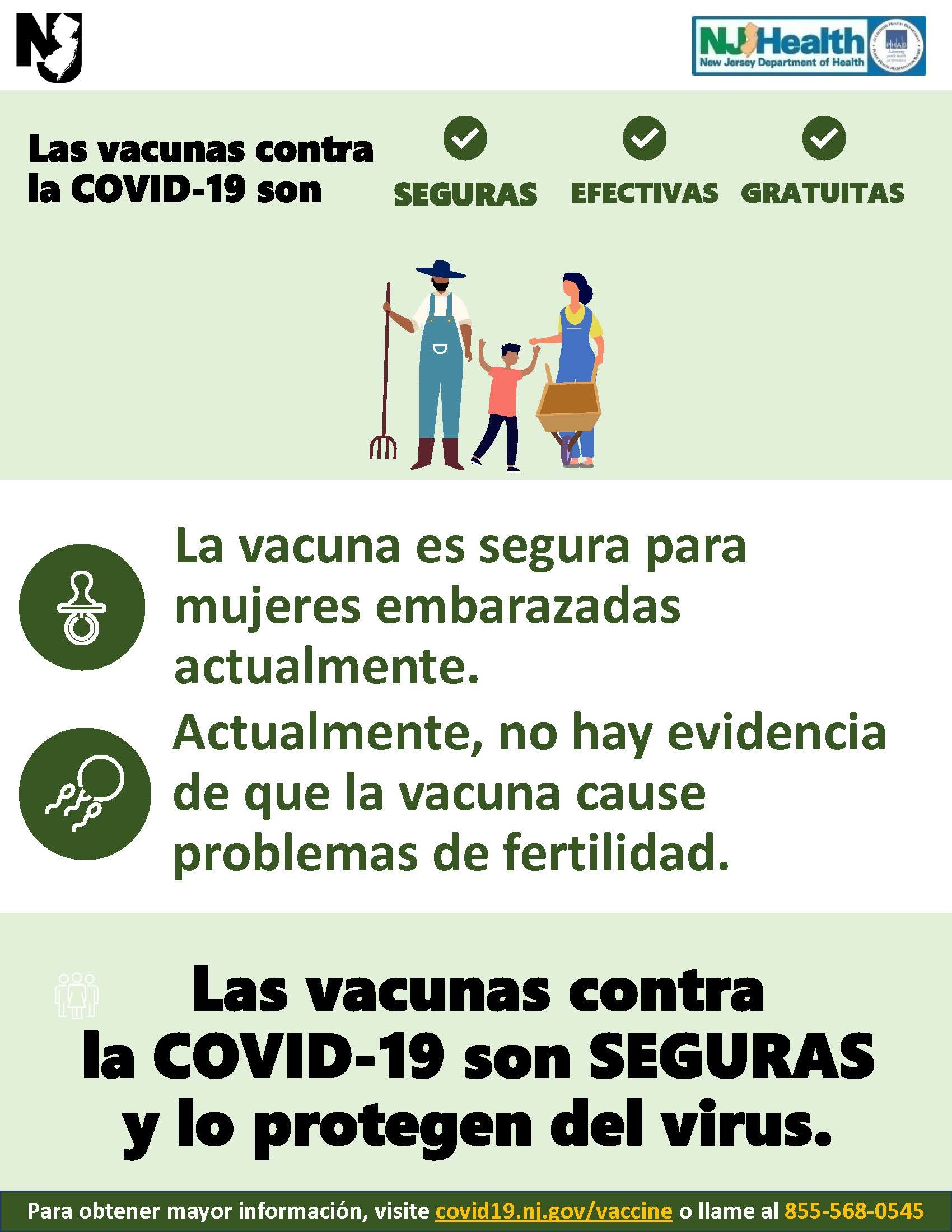 COVID-19 Vaccine During Pregnancy flyer (Spanish)