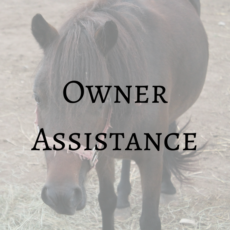 Owner Assistance