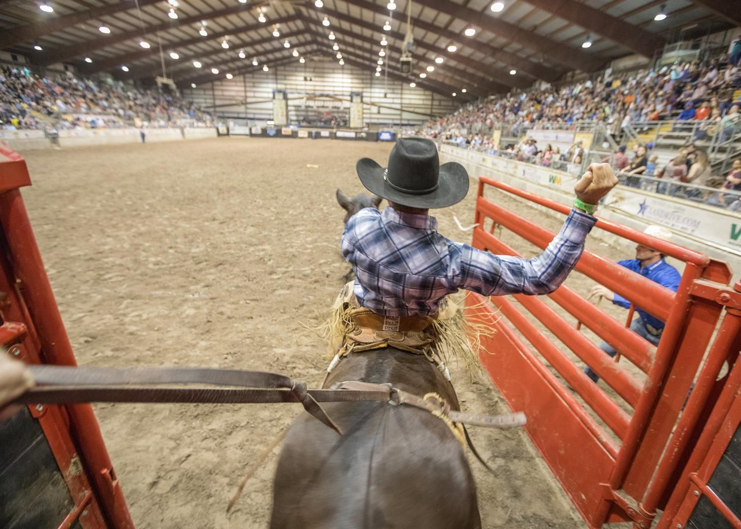 RODEO & BBQ COOK-OFF