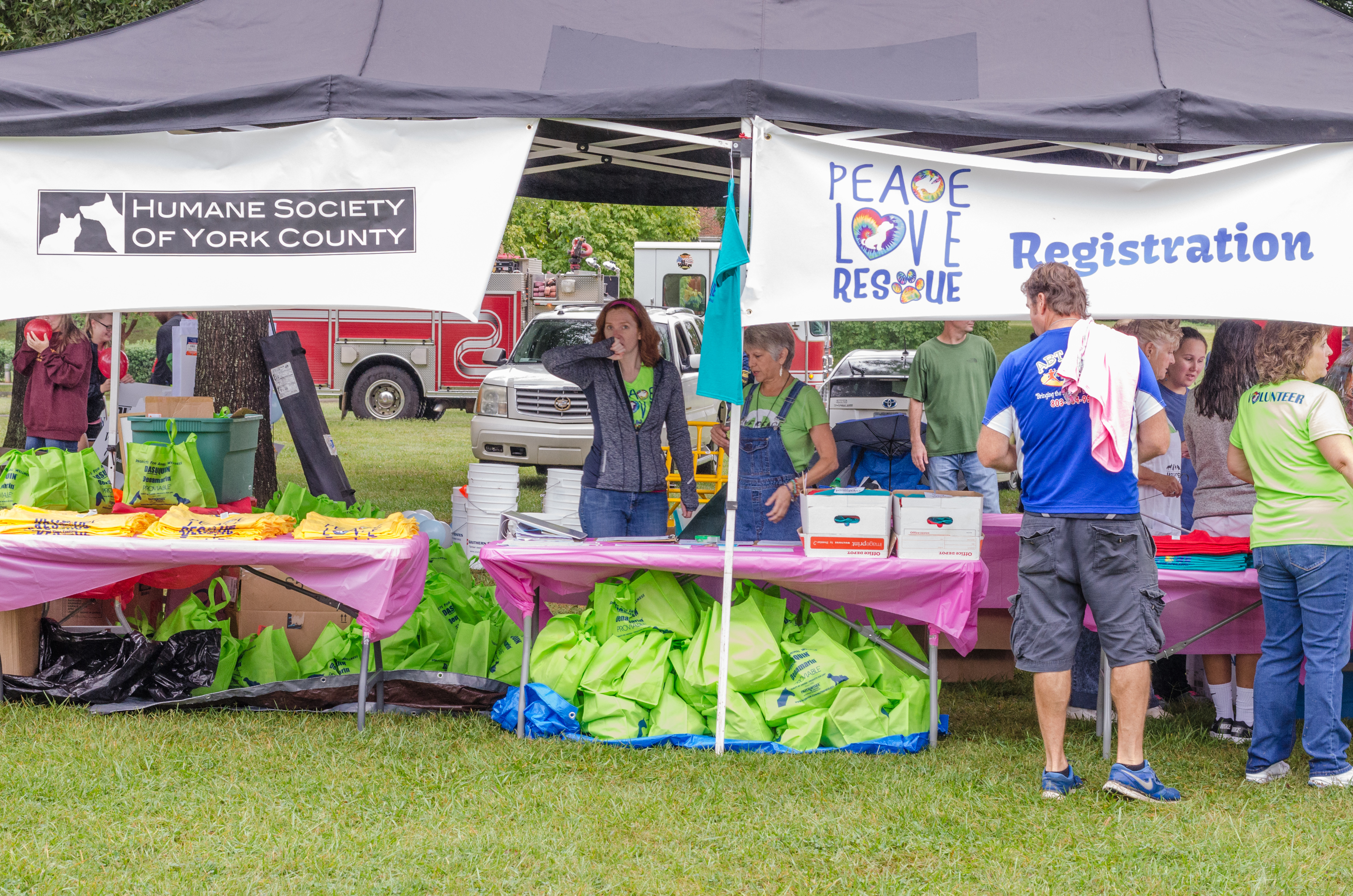 VENDOR Opportunities ~ Dog Gone Good Time Festival