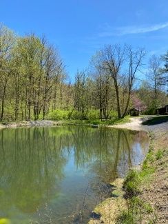 The Catoctin Goon in Spring on a beautiful blue sky day.