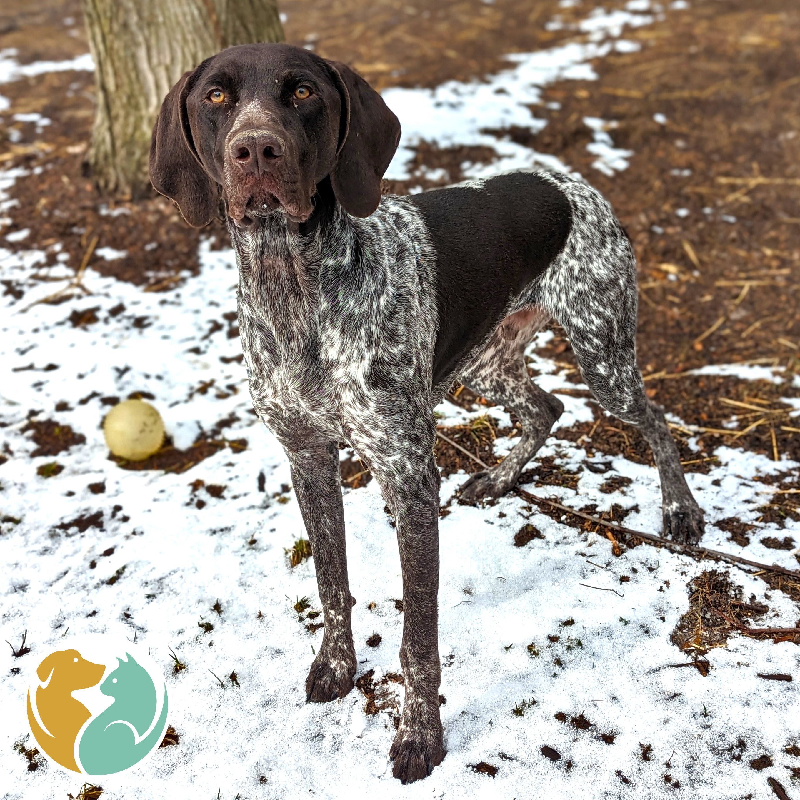BURTON - Adopted 3/4! 