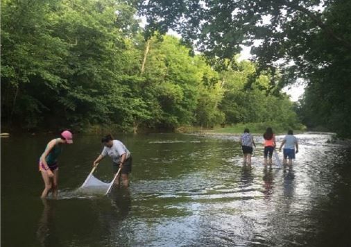 Exploring for stream life in the Kokosing River.