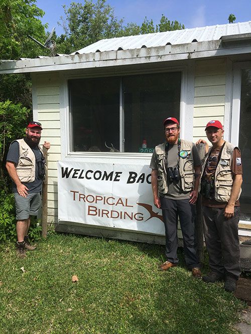 Tropical Birding Guides Are Back