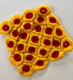 Sunflower: Donations for Doilies