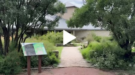 Plants are blooming at Riverside Nature Center in Kerrville after Hill Country flooding