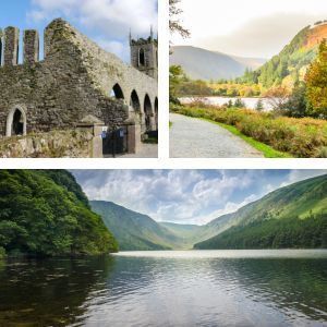 Co. WICKLOW