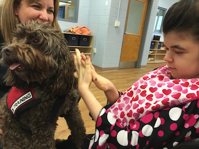 therapeutic animal visits
