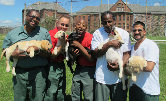PRISON DOGS- International Film Festival