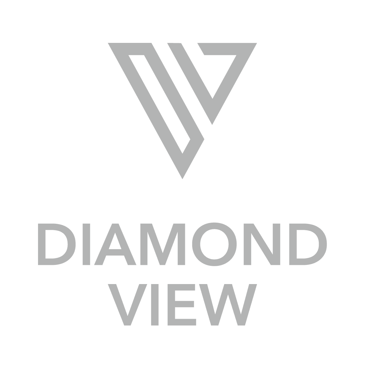 Diamond View Studios