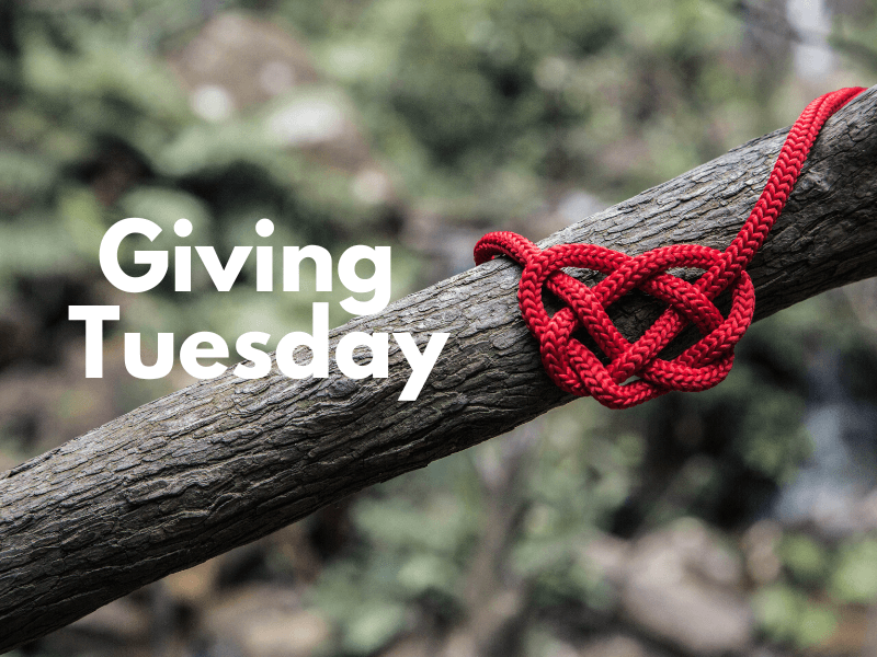 On This Giving Tuesday