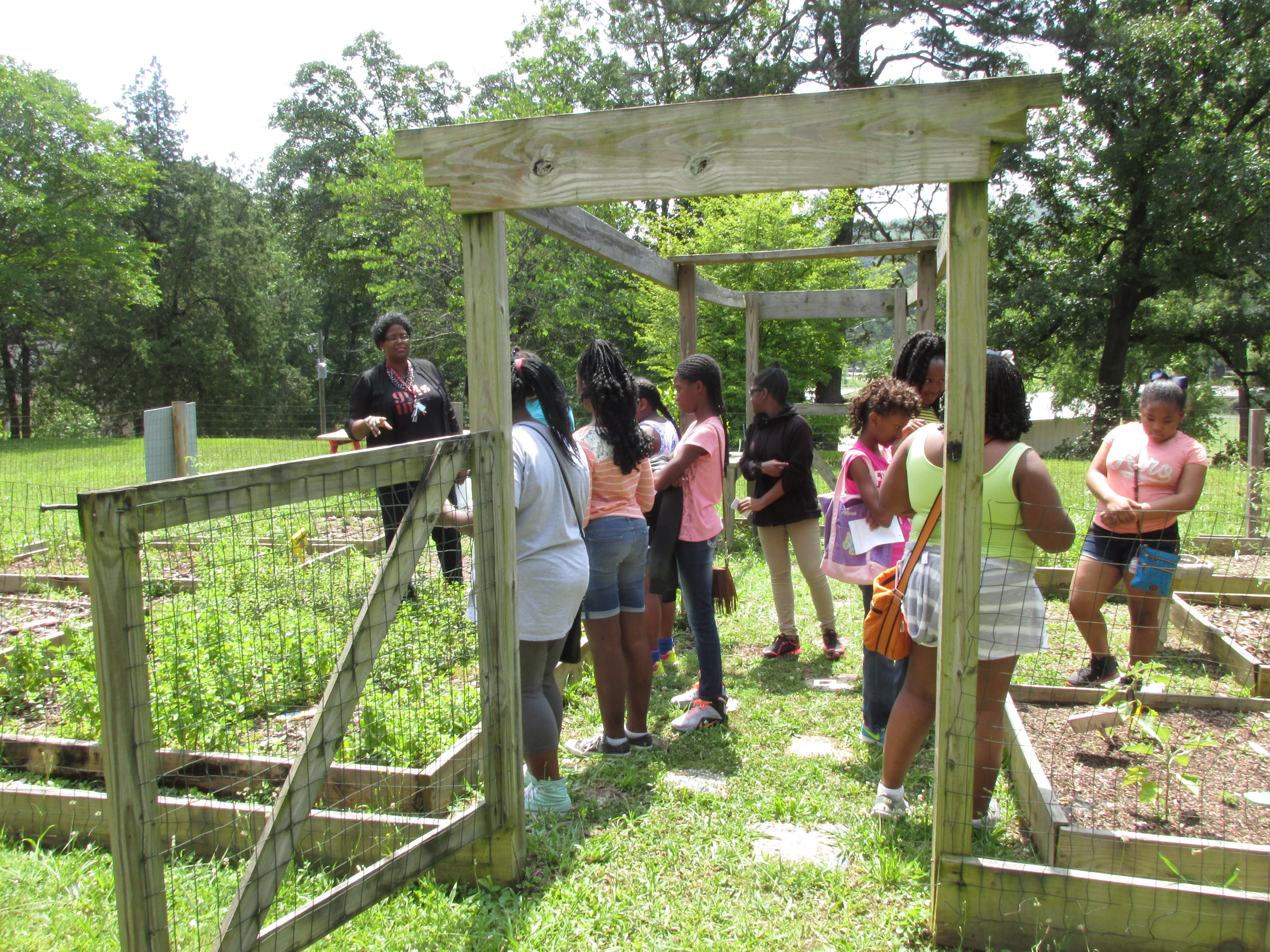 Healthy Living: Garden Growth