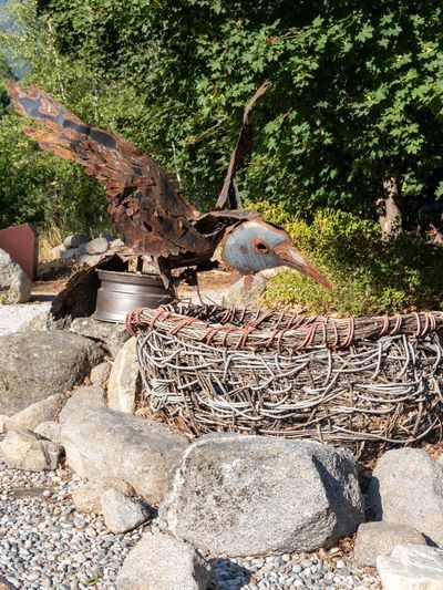 Bird Nest Rock Garden