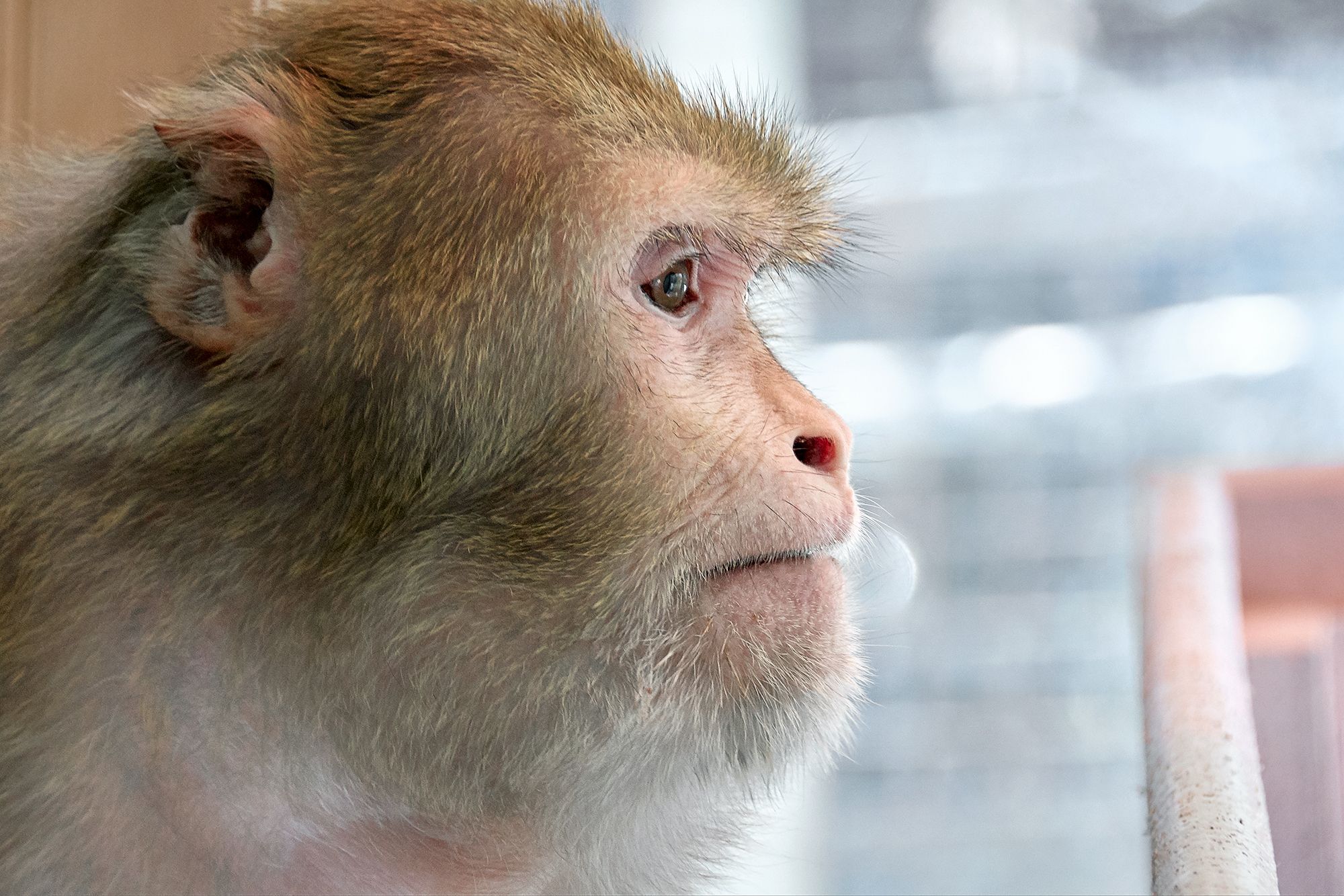 Presence Over Precision: My Summer Internship