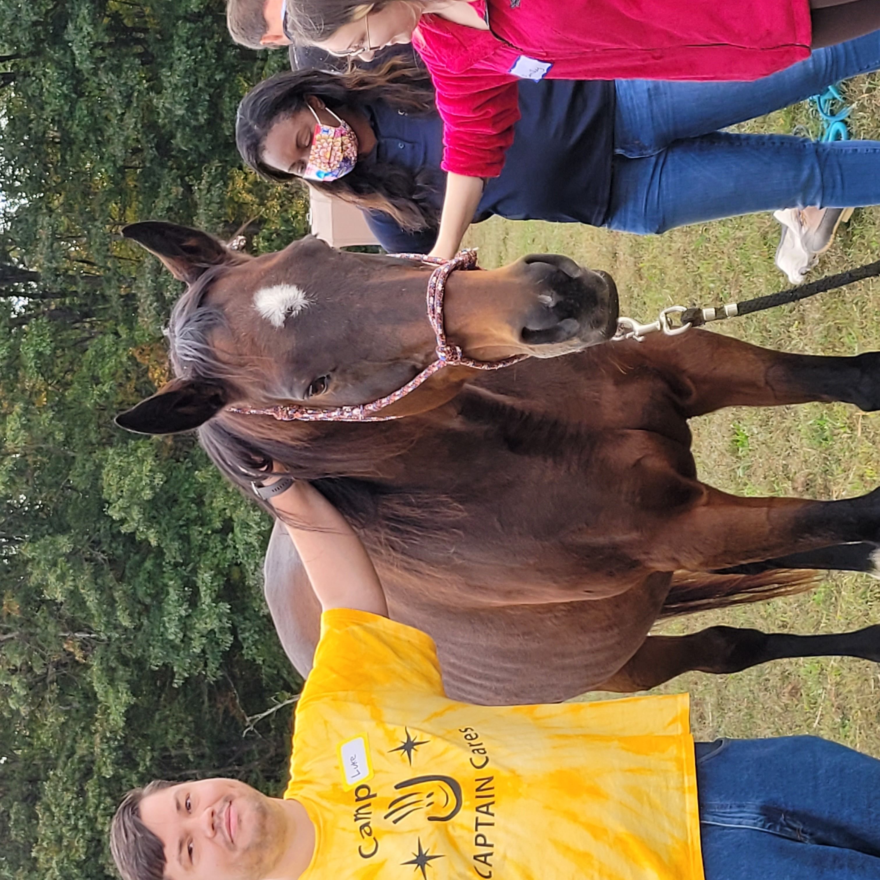 Staff Retreat with Therapeutic Horses of Saratoga!