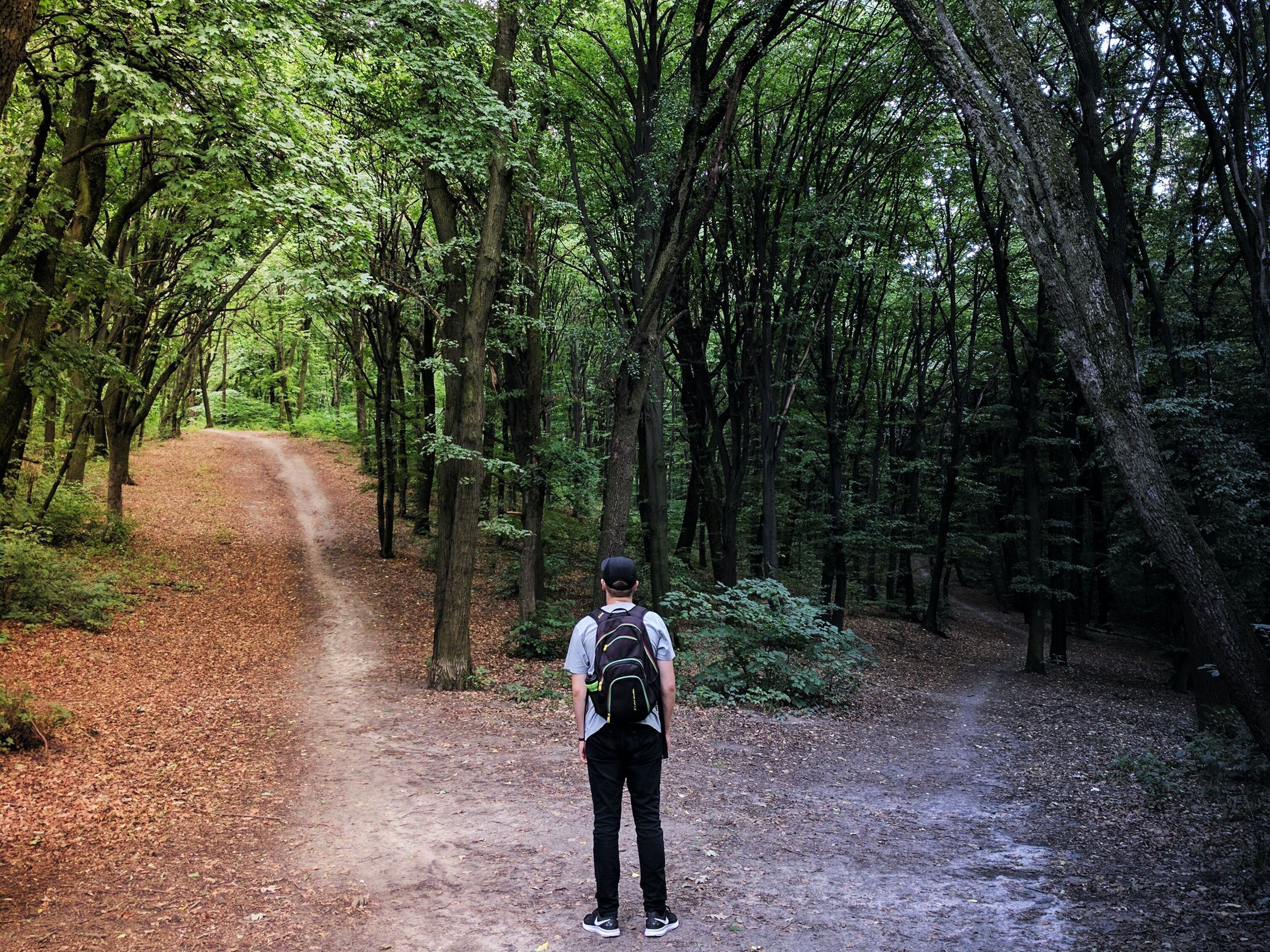 A man in a woods deciding which path to take
