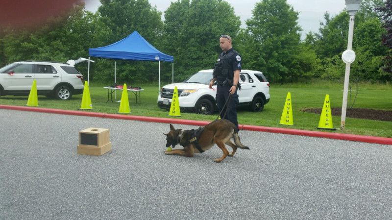Police dog demos were a big hit!