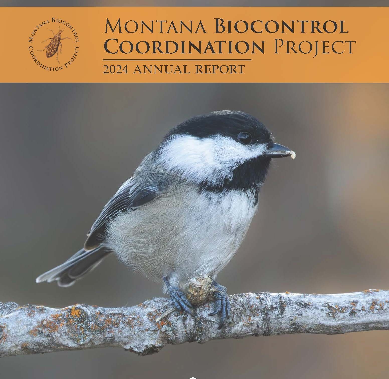 2024 Annual Report