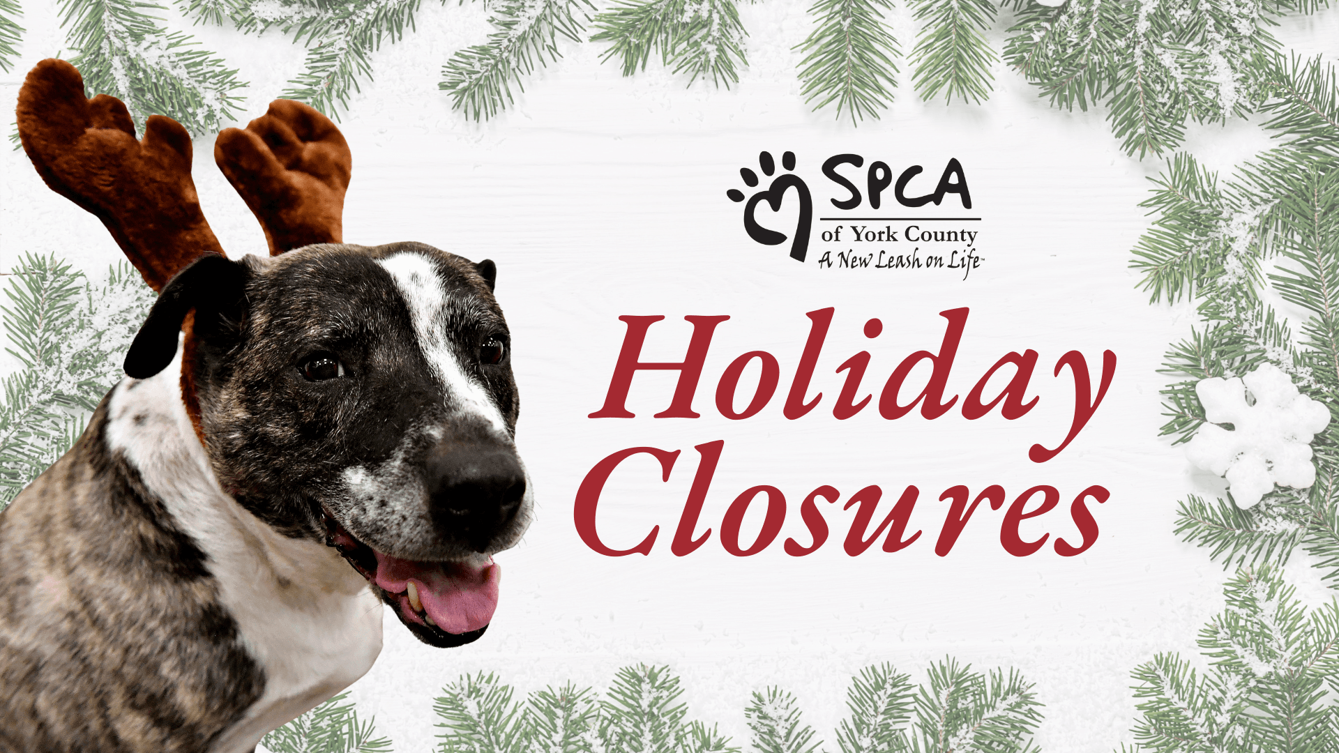 York County SPCA Holiday Closures 2024