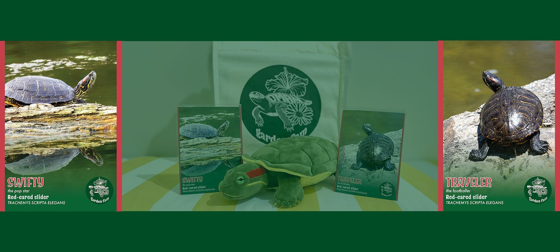 Symbolic Turtle Adoptions