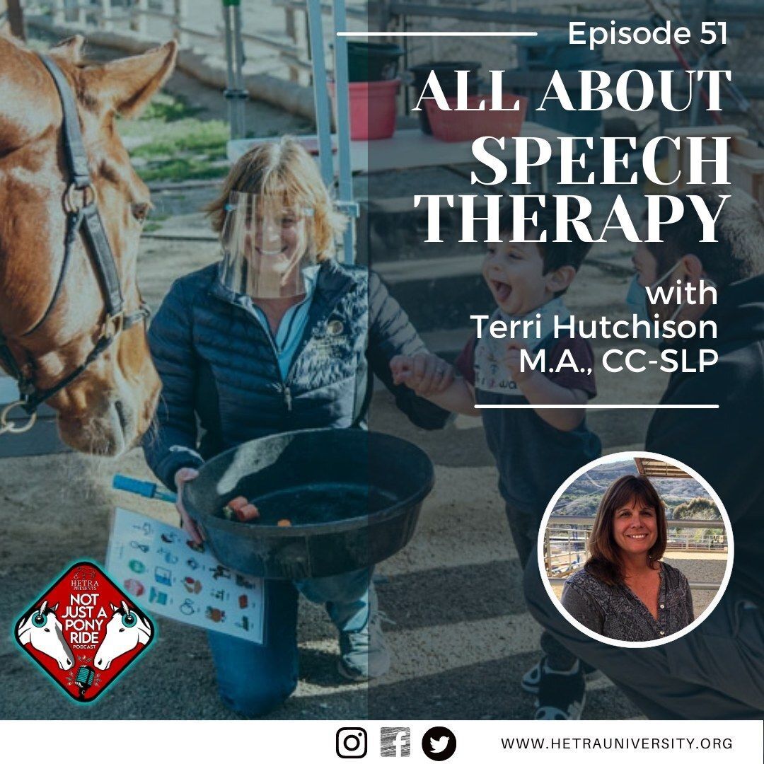 Episode #51- All About Speech Therapy with Terri Hutchison, M.A., CCC-SLP