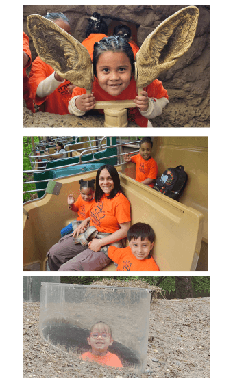 Fun Discoveries at the Bronx Zoo!