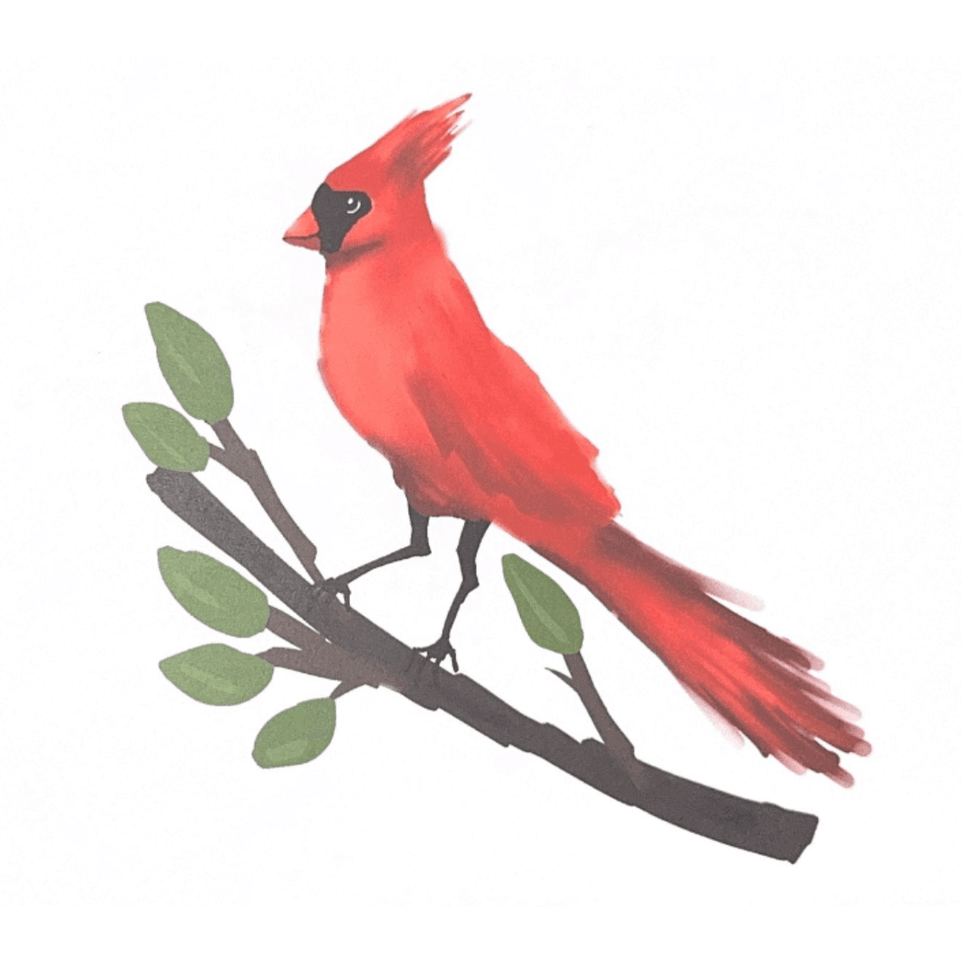 Digital painting of a cardinal