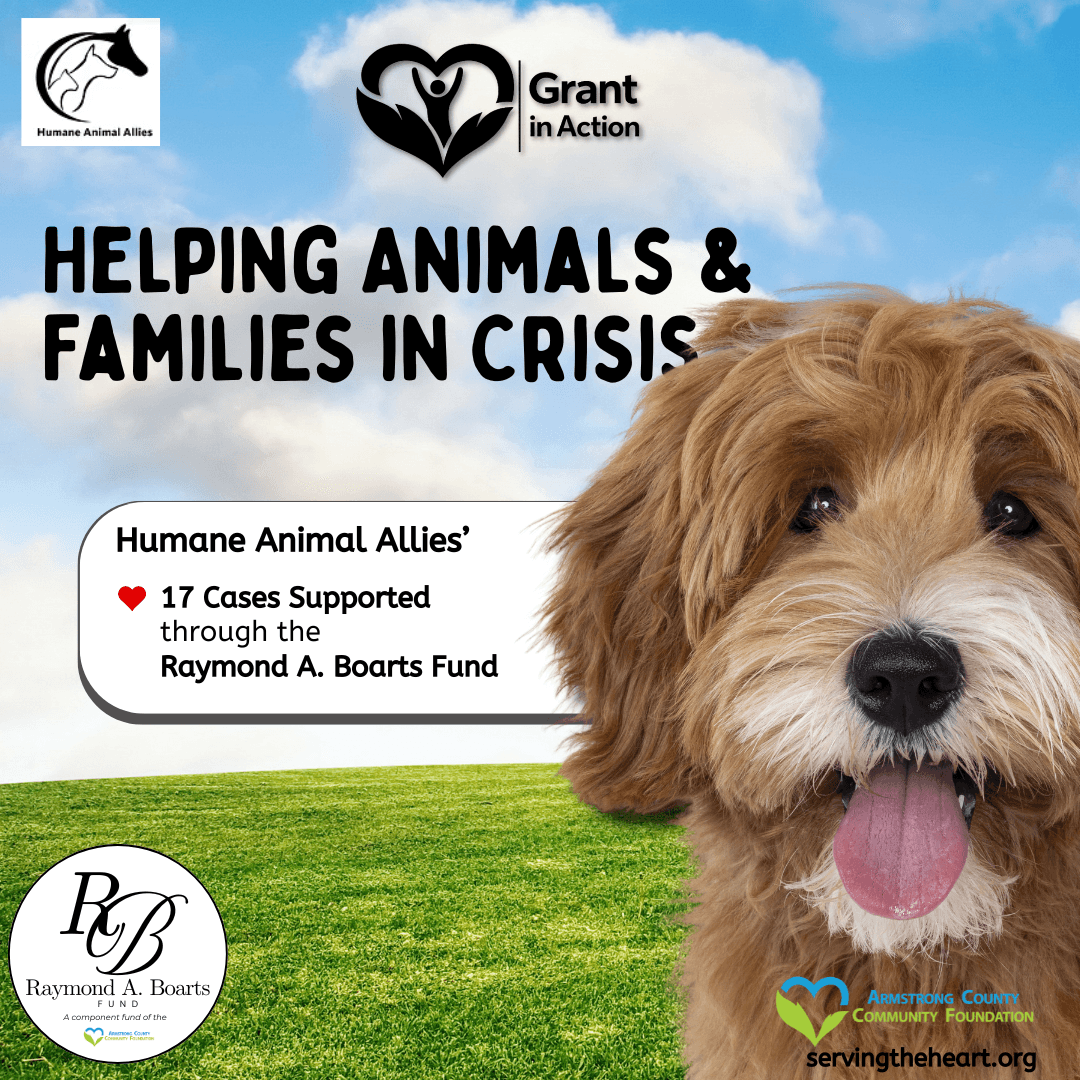 cute happy dog with showcasing 17 cases the grant heled