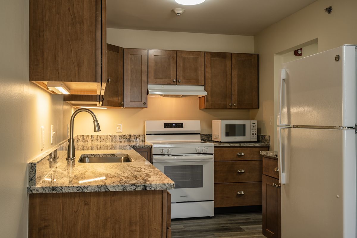 Adirondack kitchen