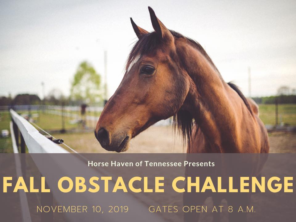 Fall Obstacle Challenge