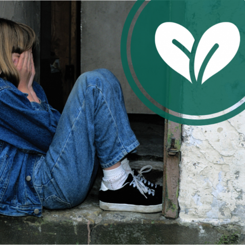 End Childhood Homelessness with the AZ Charitable Tax Credit