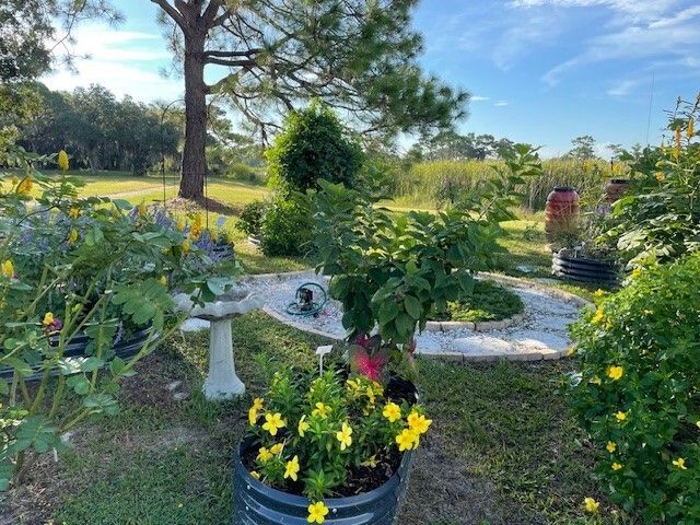 Raised beds in a community garden