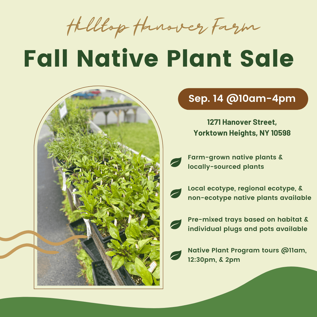 Fall Native Plant Sale