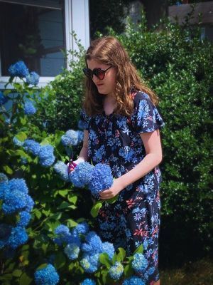 Image with young woman with curly brown hair wearing glasses, trimming a blue hydrangea bush.