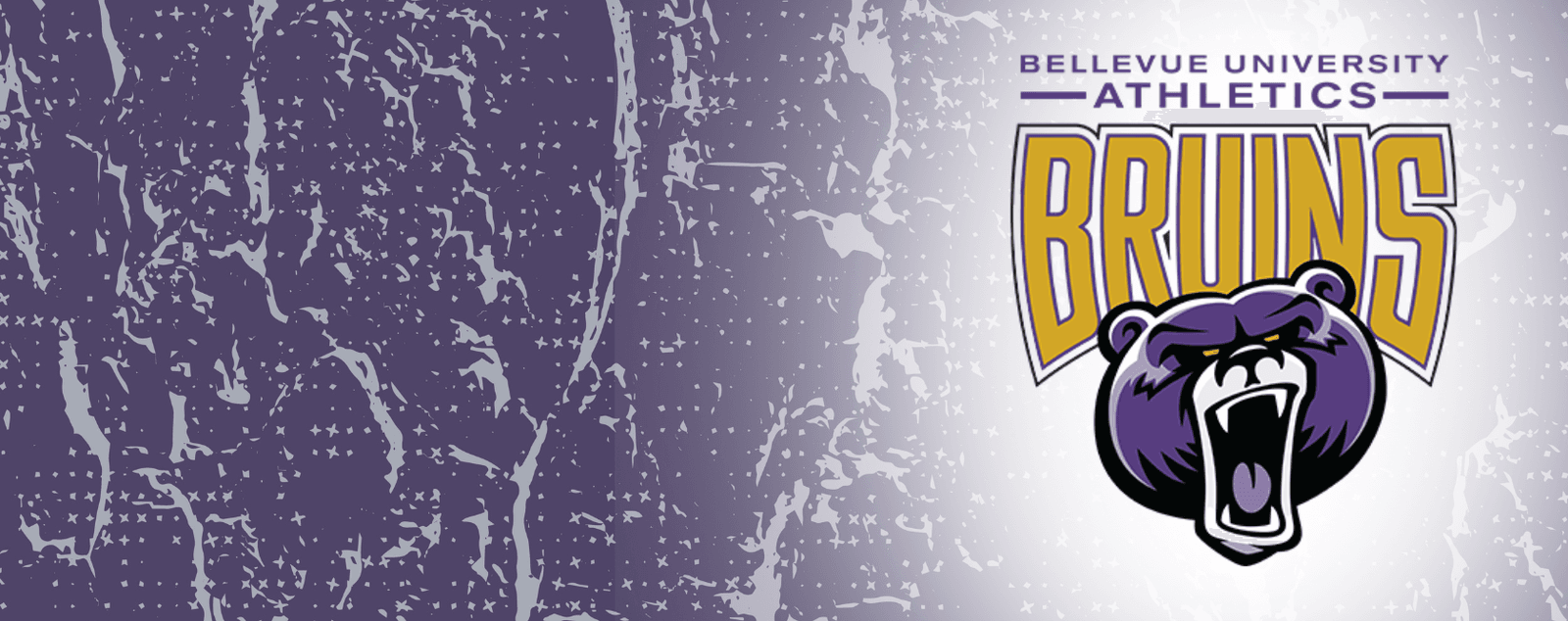 BELLEVUE UNIVERSITY